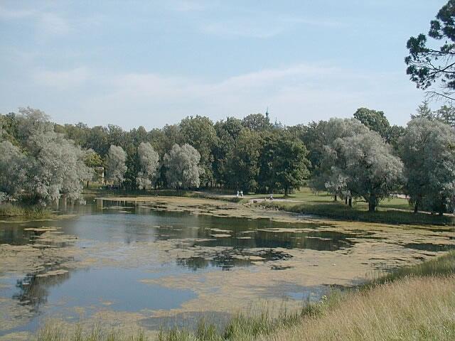 Гатчина. Английский парк