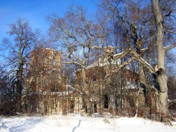 Деревня Дубно. Церковь Покрова Пресвятой Богородицы