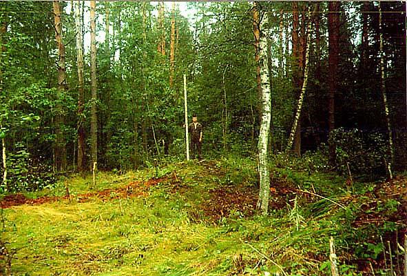Курган. Лужский район