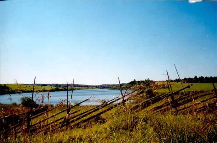 Природный парк "Вепсский лес"