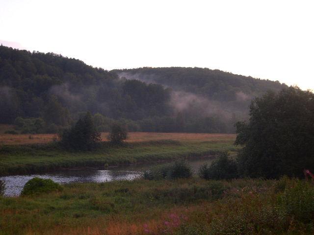 Природный парк "Вепсский лес"