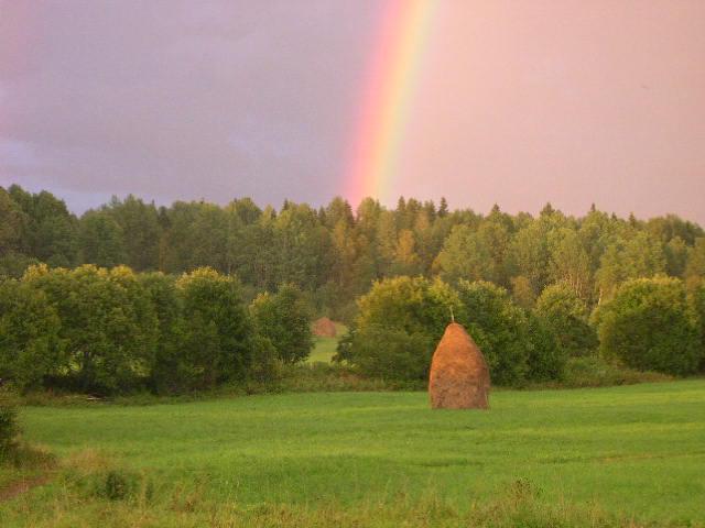 Природный парк "Вепсский лес"