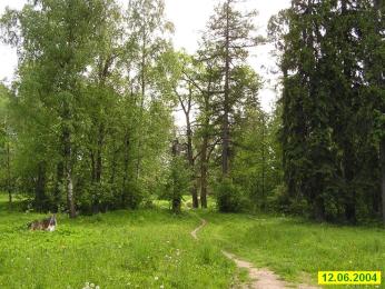Поселок Шапки. Бывший усадебный парк